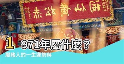 1971屬豬|1971年屬什麼生肖？1971年出生人的命運？釵釧金命？